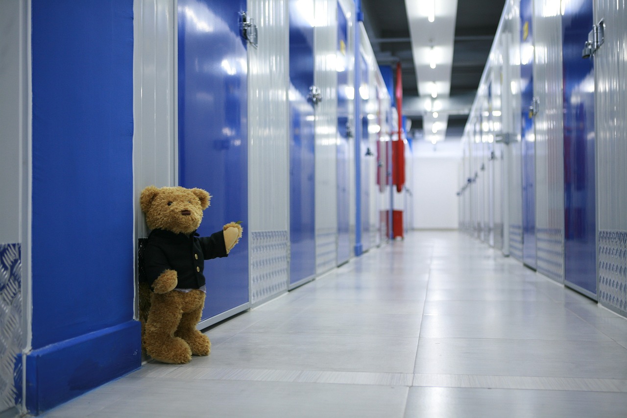 Teddy bear outside storage units